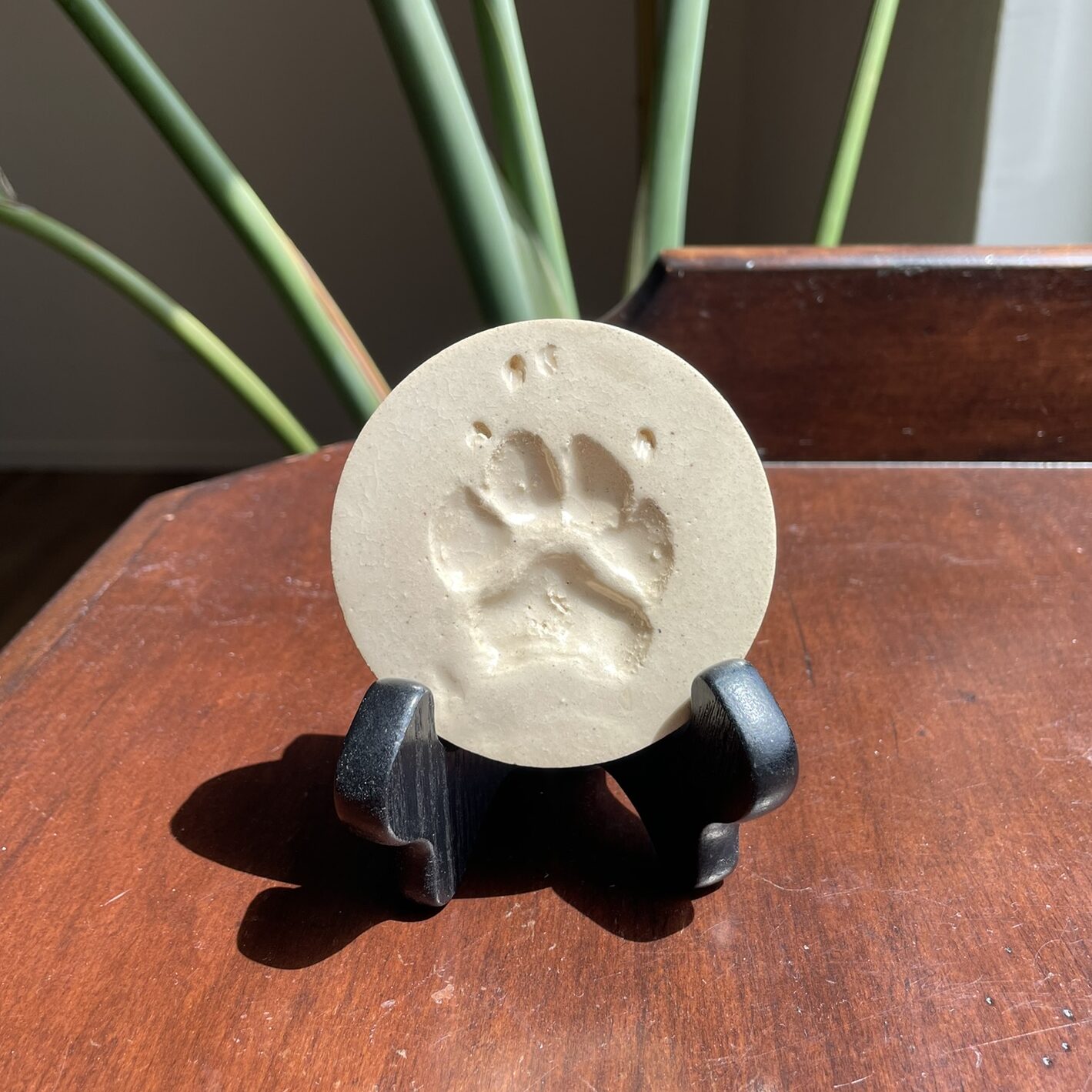 Basic Paw 2