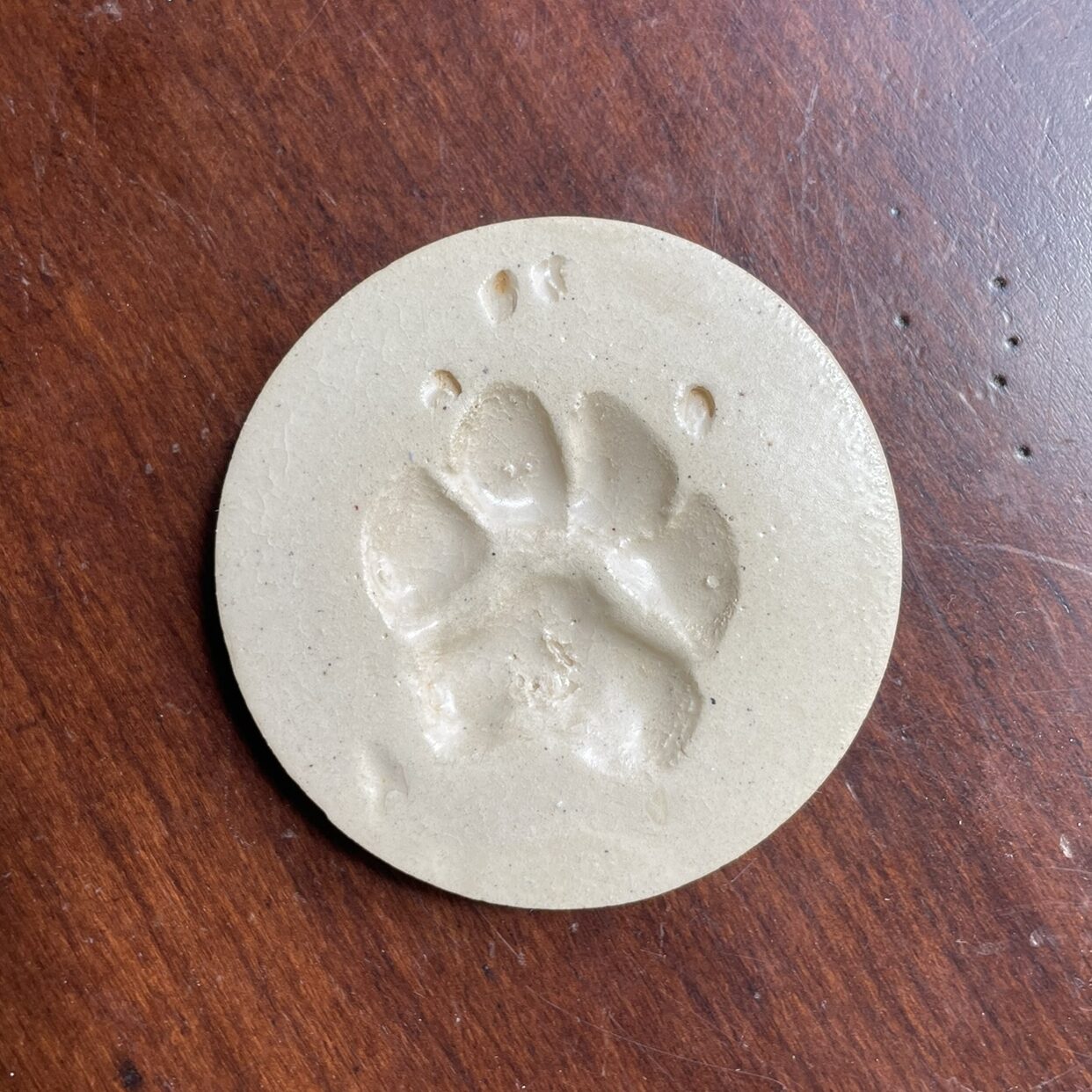 Basic Paw 4