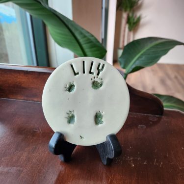 Lily Turtle Paw